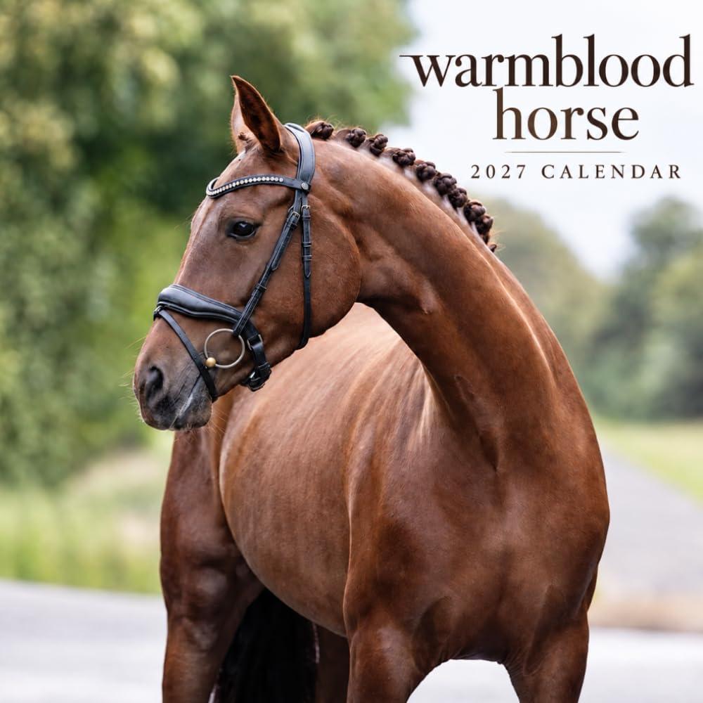 Warmblood Horse Calendar 2027: Equestrian Breed Photography