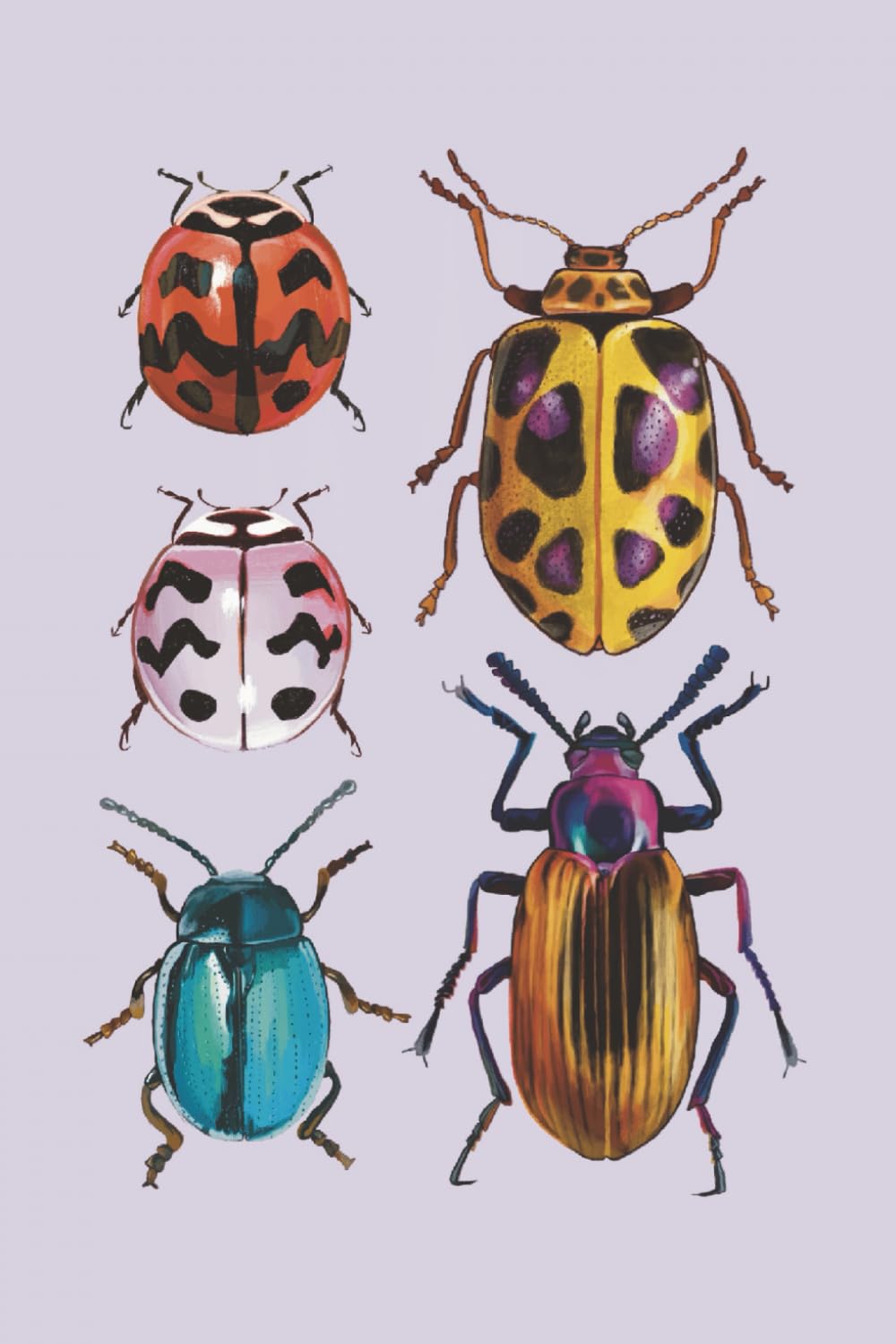 Composition Notebook: Cute Beetles Notebook | College Ruled Notebook | 6 x 9 inches | 100 pages | all ages (Portuguese Edition) baixar o livro de graça