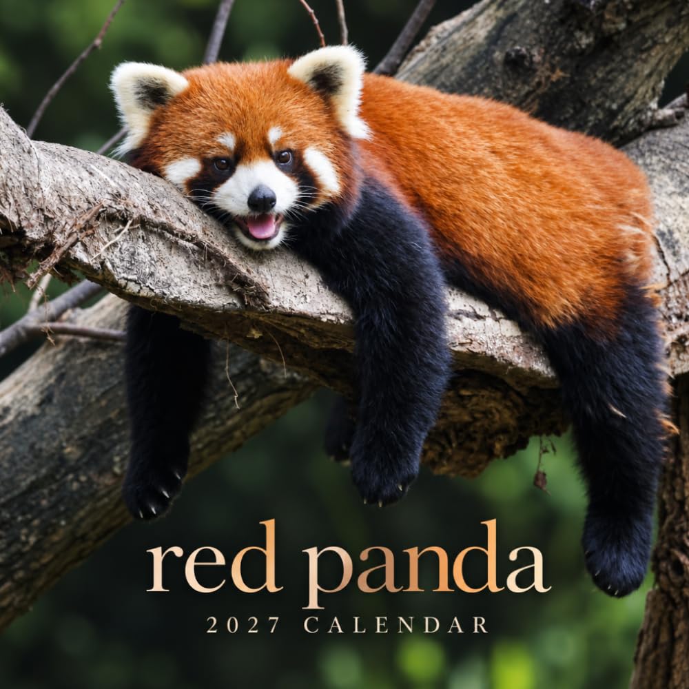 Red Panda Calendar 2027: Forest Mammal Photography