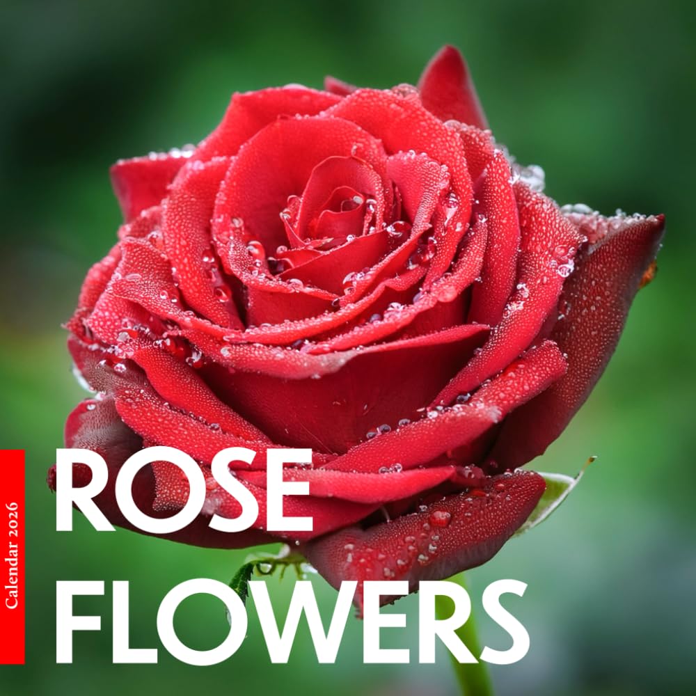 Rose Flowers 2026 Calendar: Beautiful Roses in Bloom – A Year of Floral Elegance, Color, and Natural Beauty baixar o livro de graça