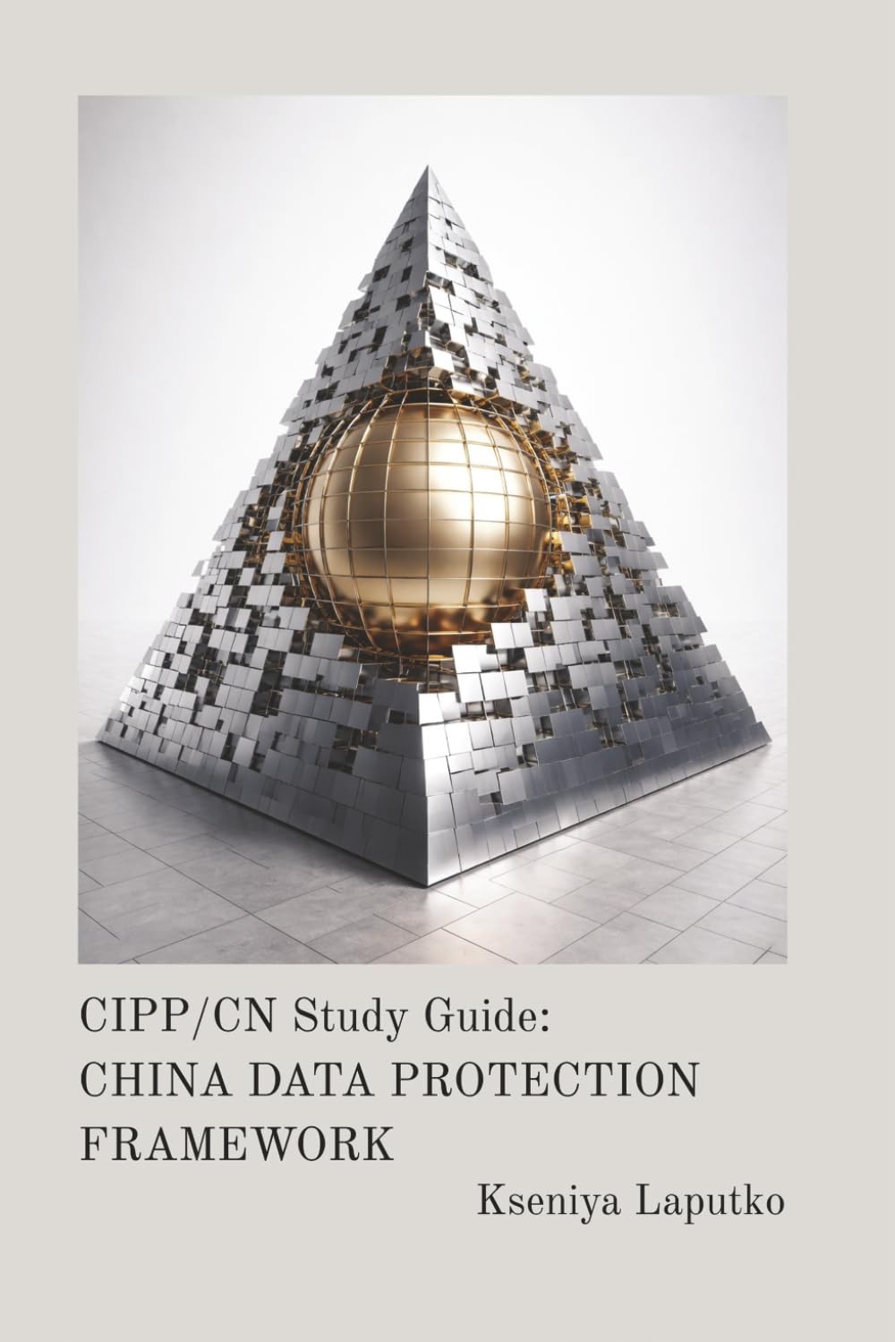 CIPP/CN Study Guide: CHINA DATA PROTECTION FRAMEWORK baixar o livro de graça