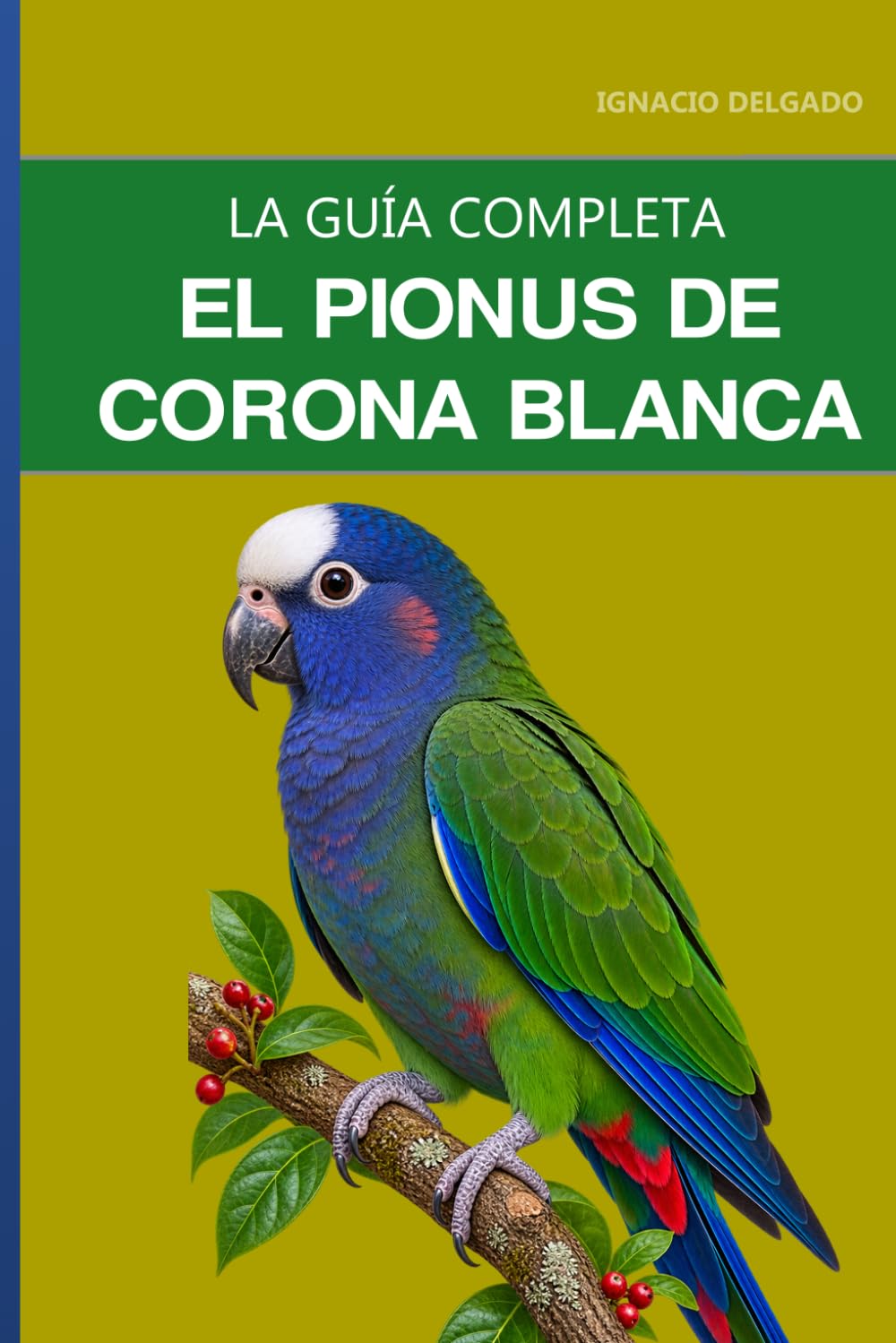 El pionus de corona blanca: Guía completa sobre cuidados, carácter vivo y el más temperamental de la familia pionus baixar o livro de graça