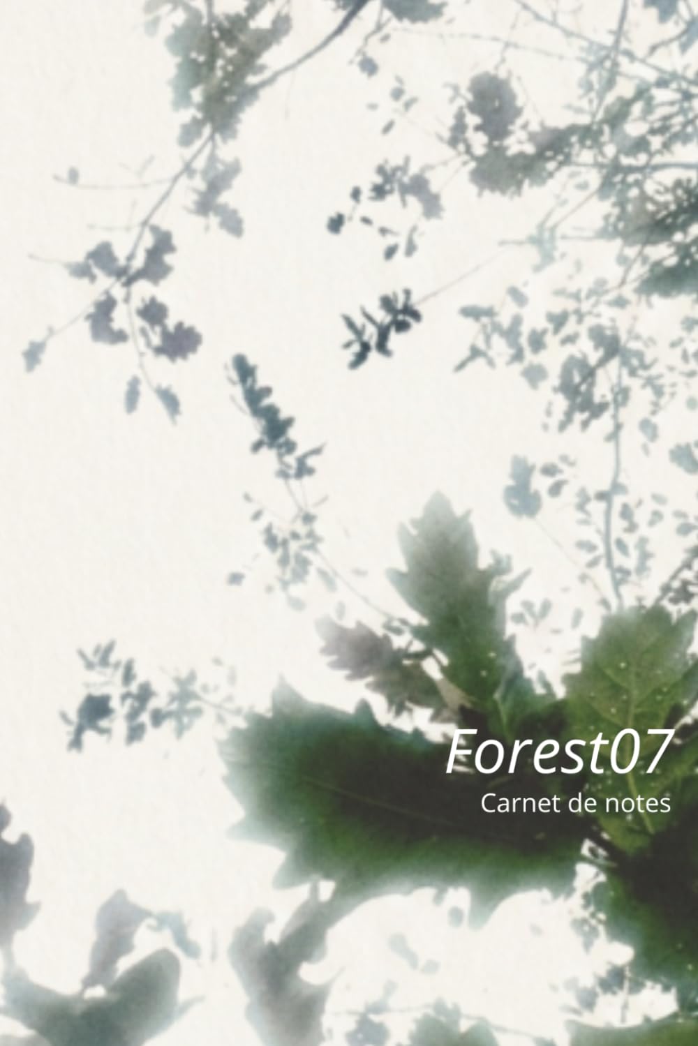 ler totalmente PLUIE: Carnet de notes Forest07 (French Edition)