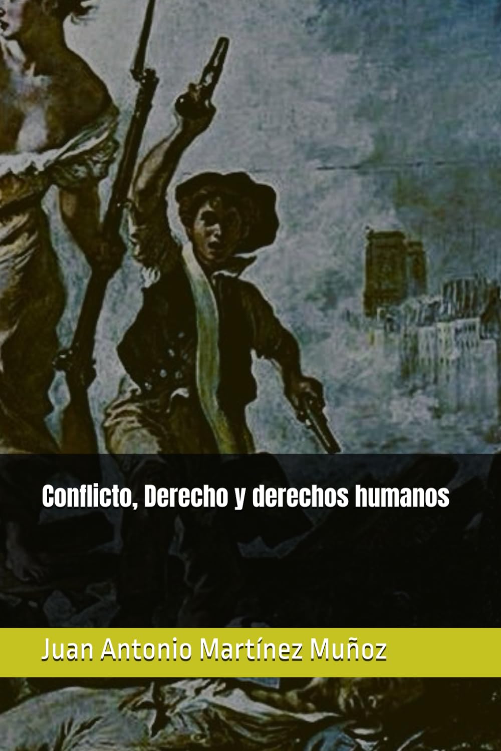 Conflicto, Derecho y derechos humanos baixar livro de graça