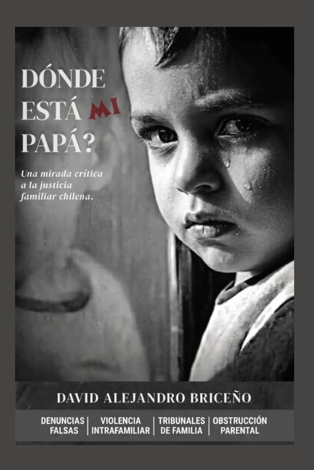 ¿Dónde está mi PAPÁ?: Ensayo crítico sobre tensiones estructurales del sistema de justicia familiar chileno. (Spanish Edition) baixar livro de graça