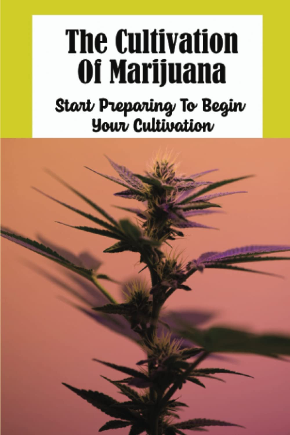 The Cultivation Of Marijuana: Start Preparing To Begin Your Cultivation baixar livro de graça