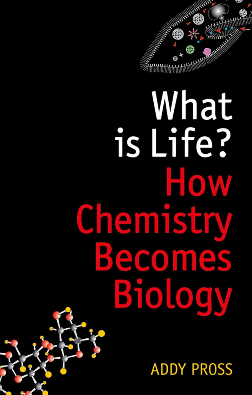 What is Life?: How Chemistry Becomes Biology (Oxford Landmark Science) (English Edition) baixar o livro de graça
