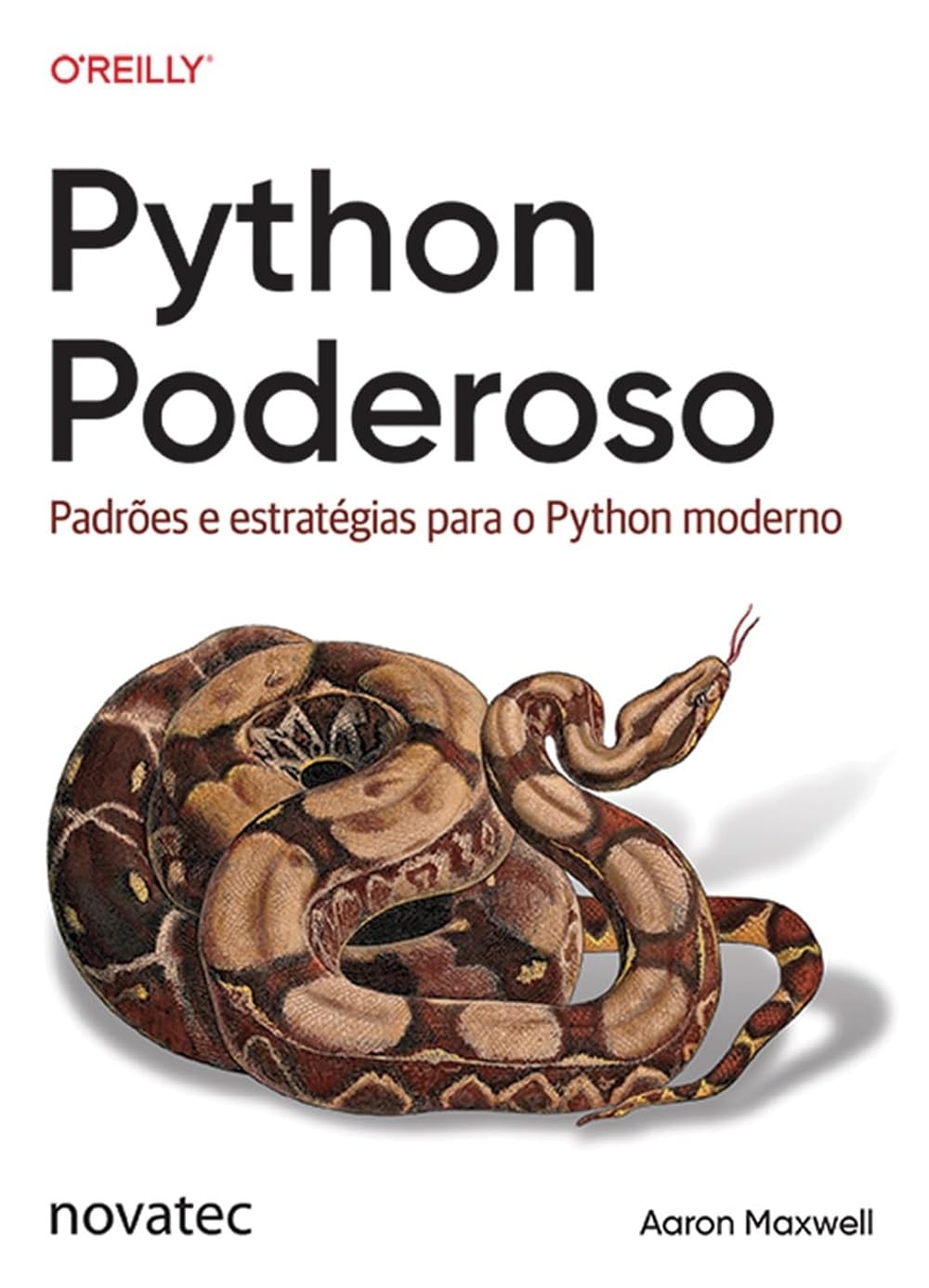 Python Poderoso: Padrões e estratégias para o Python moderno baixar livro de graça