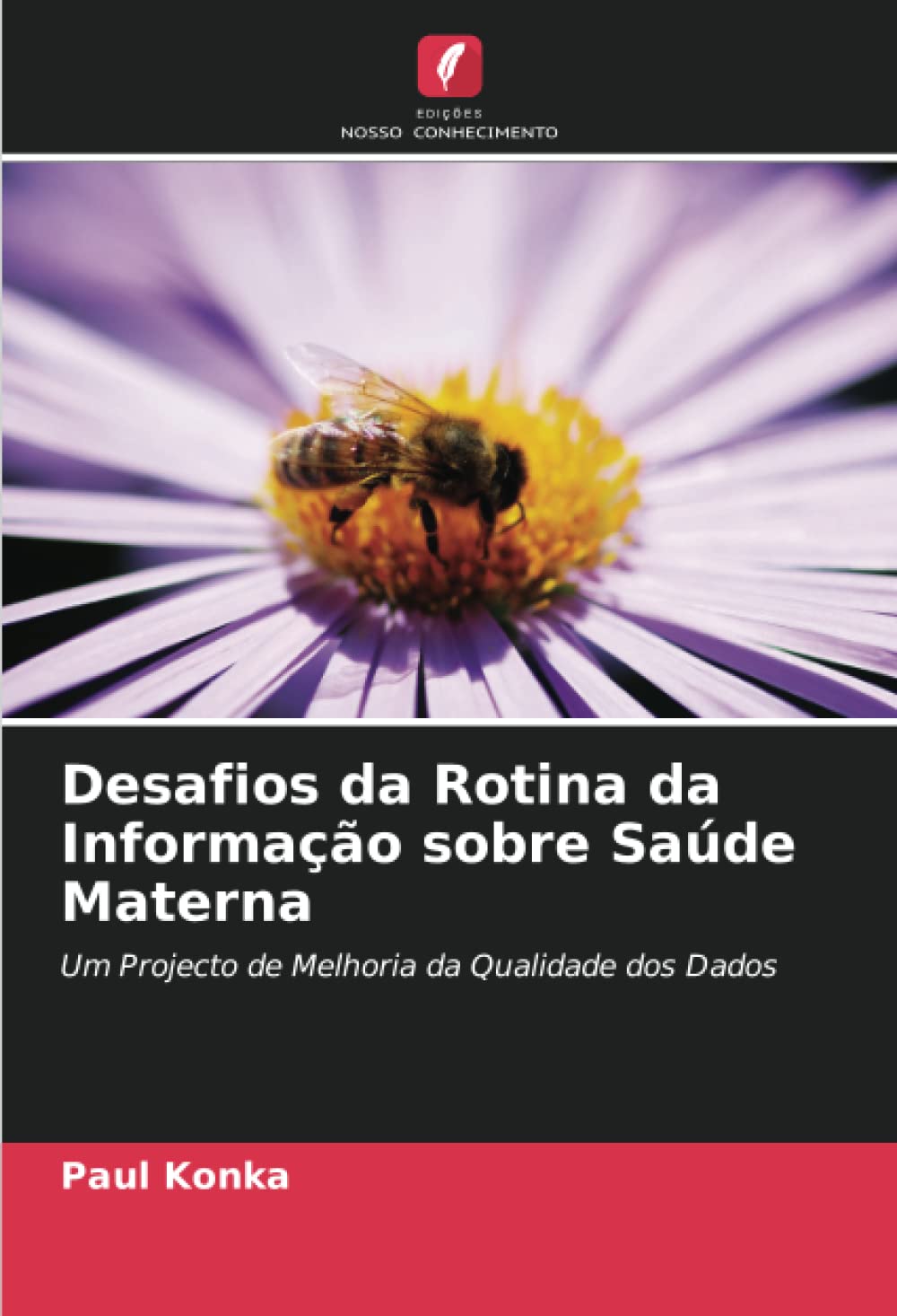 ler totalmente Desafios da Rotina da Informação sobre Saúde Materna: Um Projecto de Melhoria da Qualidade dos Dados