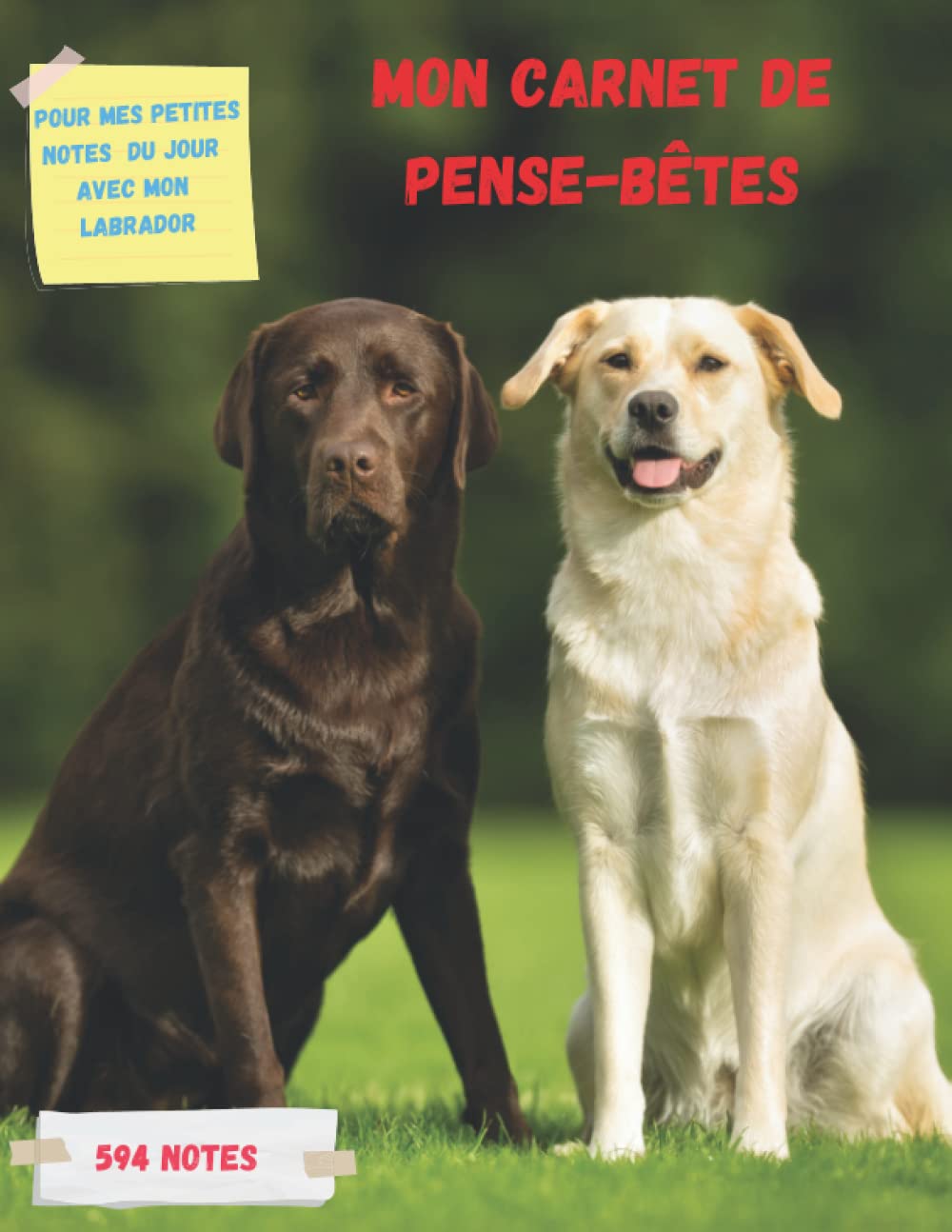 Mon carnet de pense-bêtes: Pour mes petites notes du jour avec mon Labrador, 594 notes (French Edition) baixar livro de graça