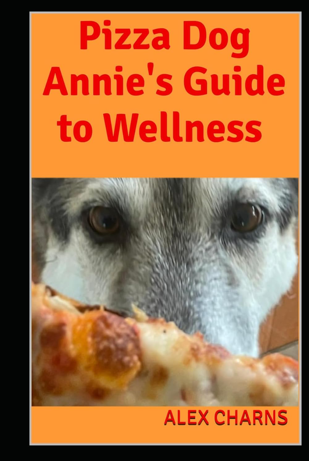 PIZZA DOG ANNIE’S GUIDE TO WELLNESS baixar o livro de graça