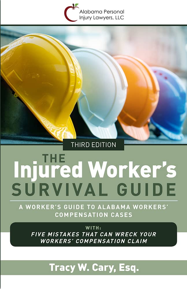 The Injured Worker's Survival Guide (English Edition) baixar livro de graça