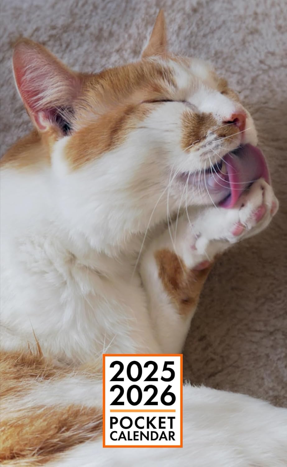 Pocket Calendar 2025-2026 for Purse - Hektor Cat v2 | 2 Year Pocket Planner January 2025 - December 2026 | Small Pocket Size 4 x 6.5 | Sketches of Cats in the Middle baixar o livro de graça