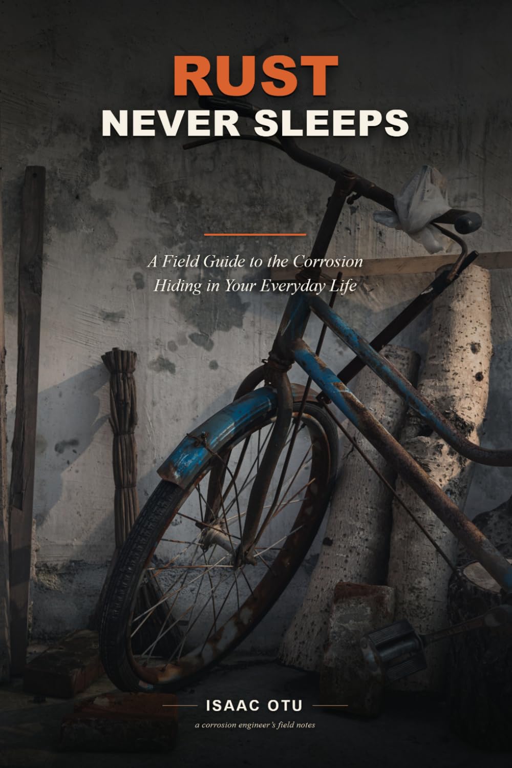 capítulo por capítulo baixar Rust Never Sleeps: A Field Guide to the Corrosion Hiding in Your Everyday Life