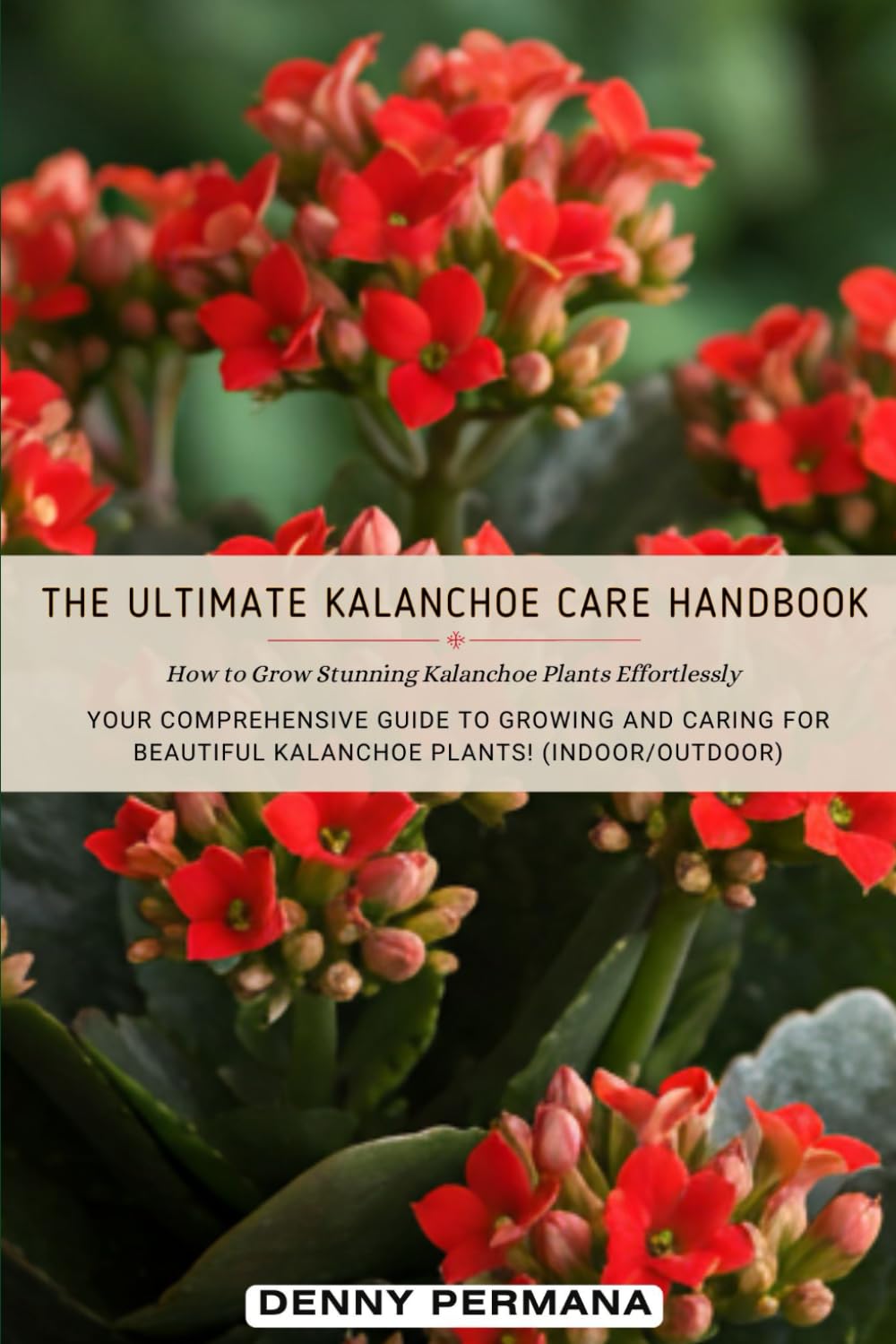 The Ultimate Kalanchoe Care Handbook: How to Grow Stunning Kalanchoe Plants Effortlessly: Your Comprehensive Guide to Growing and Caring for Beautiful Kalanchoe Plants! (Indoor/Outdoor) baixar o livro de graça