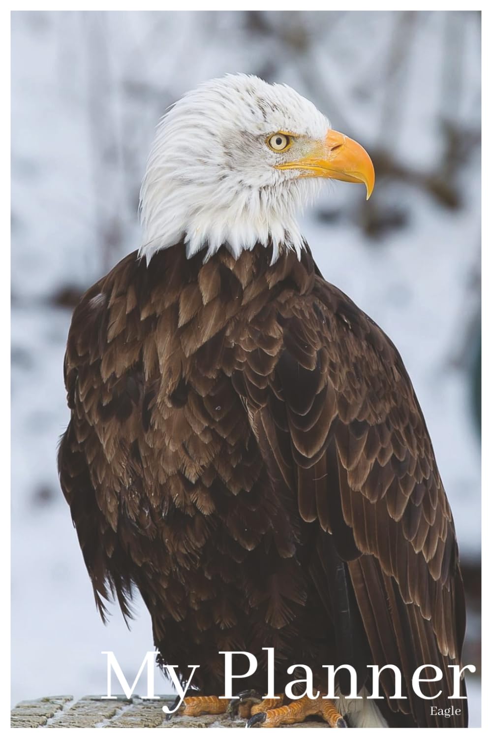 ler totalmente My Planner: Eagle: A Dateless Monthly and Weekly Calendar for Those Who Love Eagles