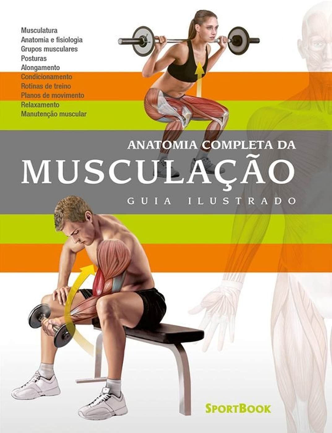 Anatomia Completa da Musculação: Guia Ilustrado baixar o livro de graça