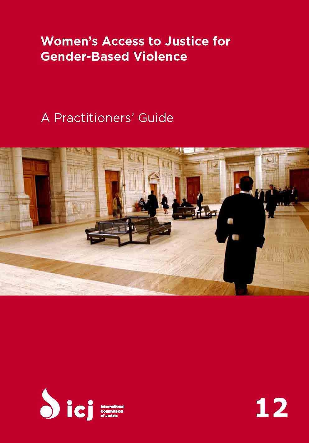 Women’s Access to Justice for Gender-Based Violence: A Practitioners’ Guide (Practitioners’ Guide Series Book 12) (English Edition) baixar livro de graça