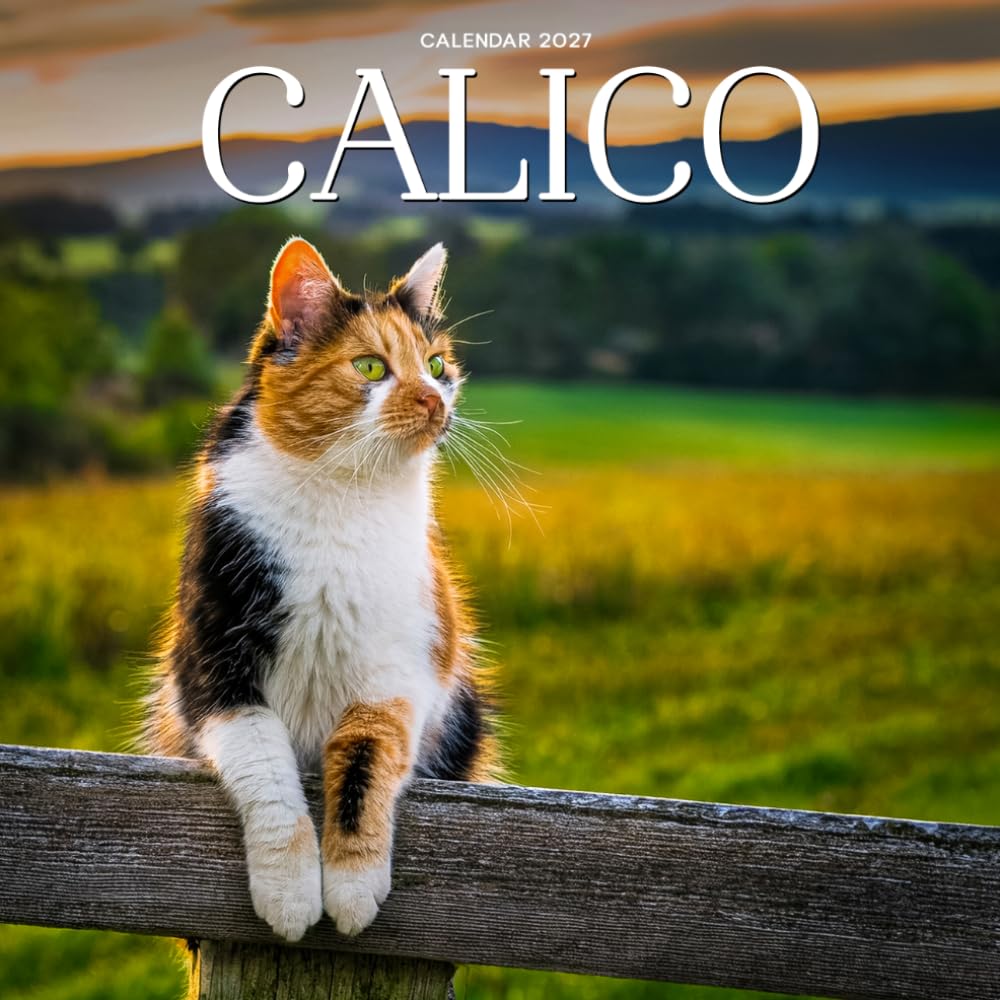 Calico Cat Calendar 2027: Colorful Cats and Feline Portraits baixar livro de graça