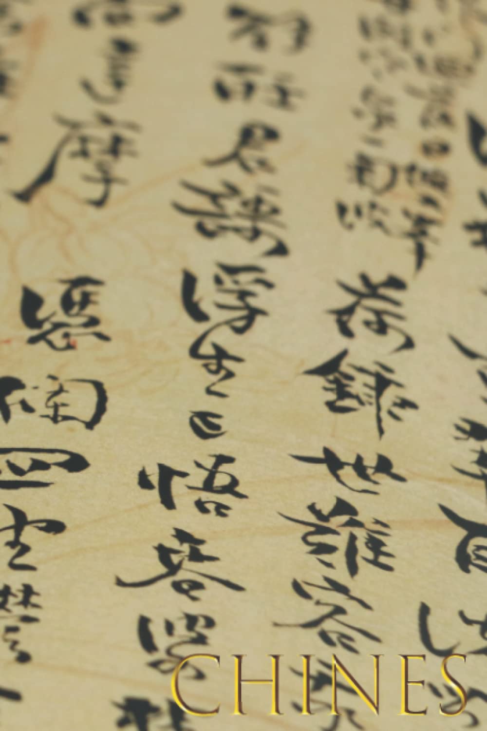 CHINÊS: Livro para preencher - Livro de vocabulário - Aprenda chinês - Ordem alfabética - A-Z - 2500 palavras baixar livro de graça