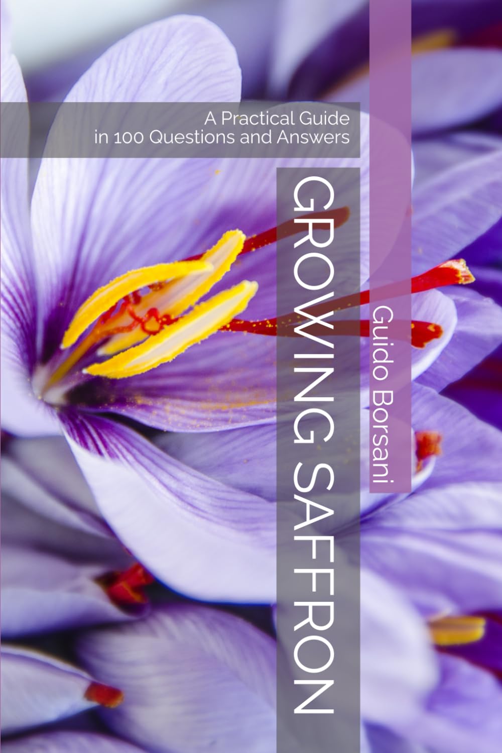 Growing Saffron: A Practical Guide in 100 Questions and Answers baixar livro de graça