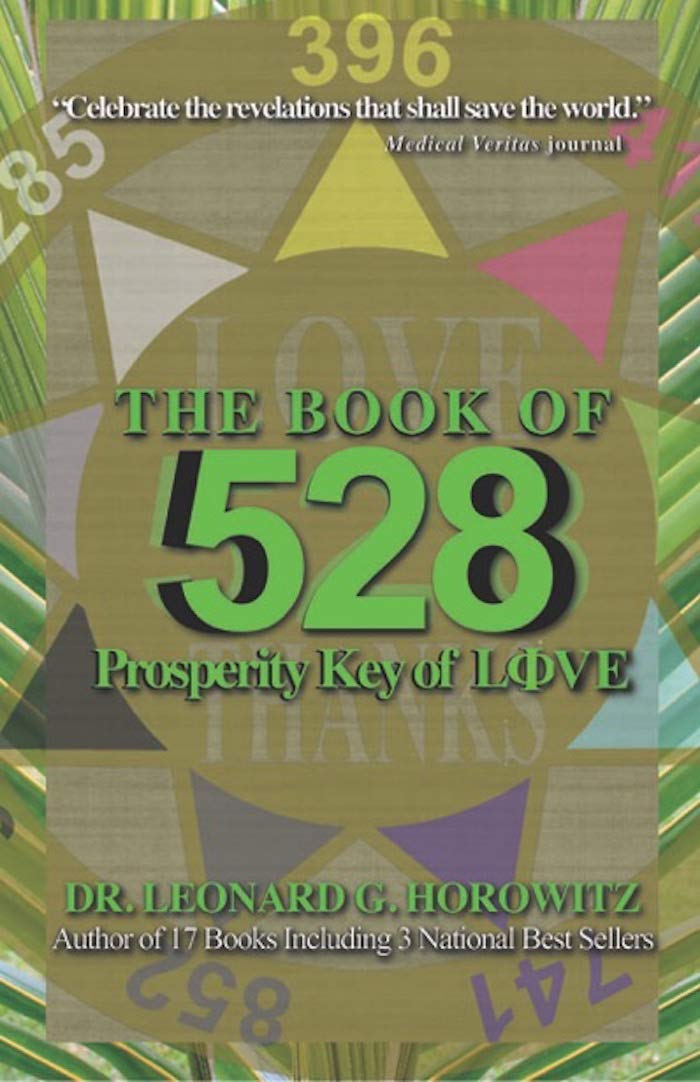 ler totalmente The Book of 528: Prosperity Key of Love (English Edition)