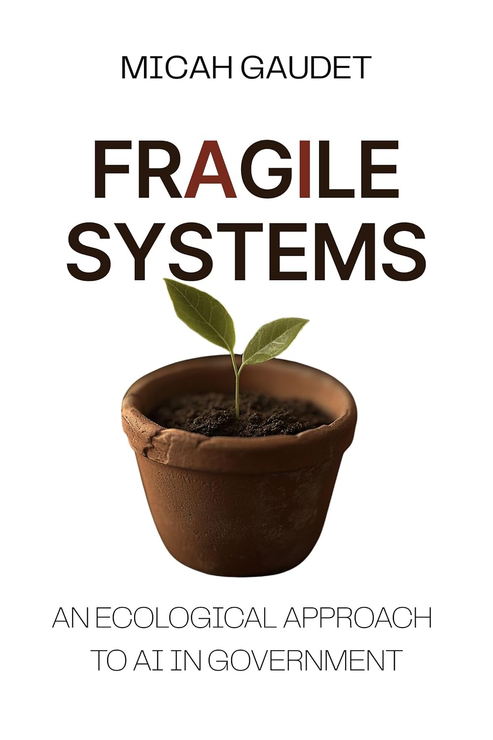ler totalmente Fragile Systems: An Ecological Approach to AI in Government (English Edition)