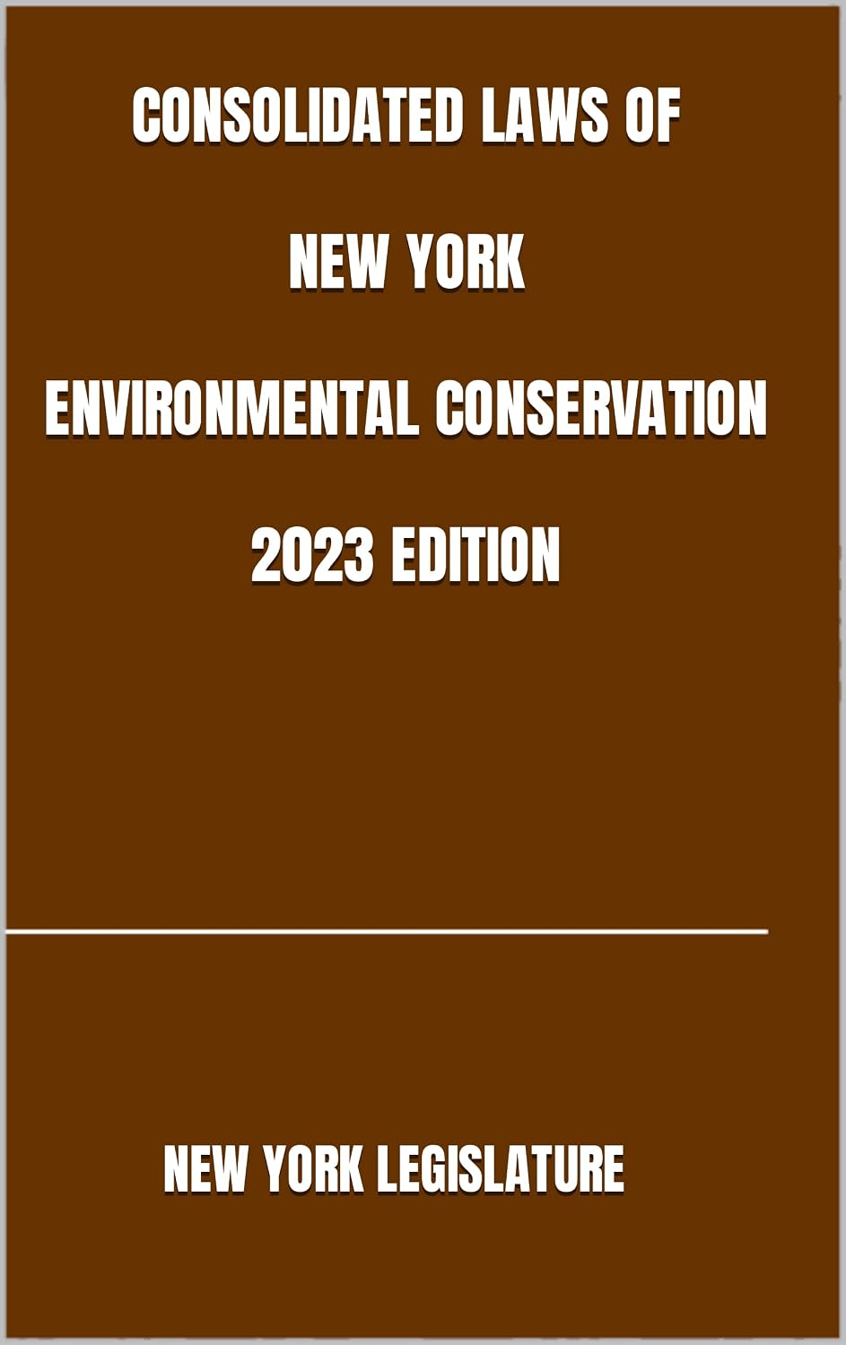 CONSOLIDATED LAWS OF NEW YORK ENVIRONMENTAL CONSERVATION 2023 EDITION (English Edition) baixar o livro de graça