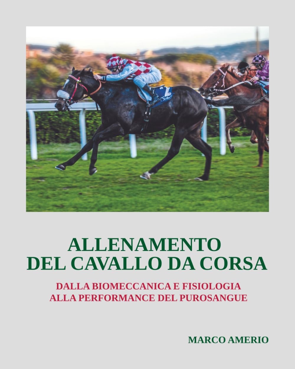 ALLENAMENTO DEL CAVALLO DA CORSA: DALLA BIOMECCANICA E FISIOLOGIA ALLA PERFORMANCE DEL PUROSANGUE (Italian Edition) baixar livro de graça