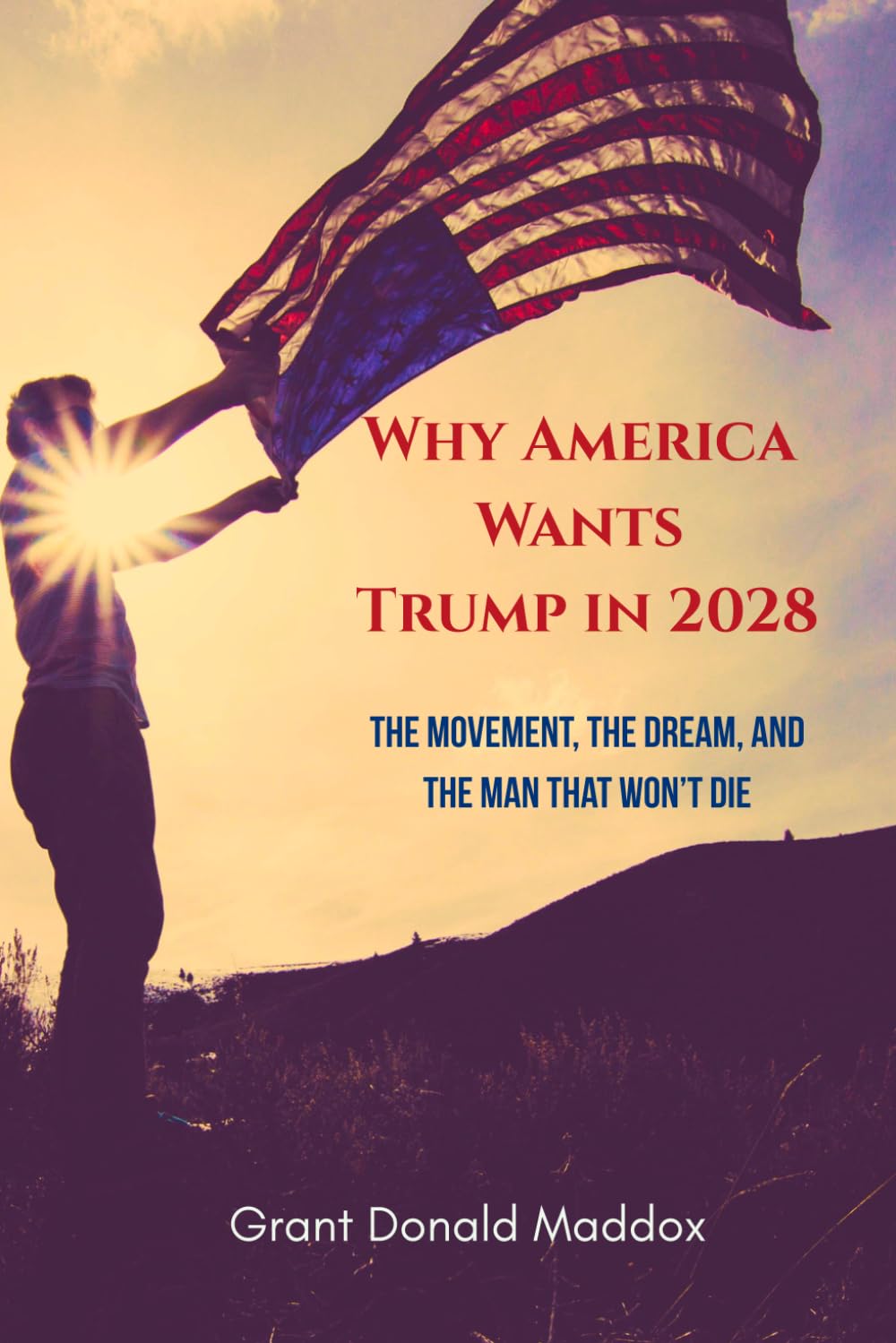 ler totalmente Why America Wants Trump in 2028: The Movement, the Dream, and the Man That Won’t Die