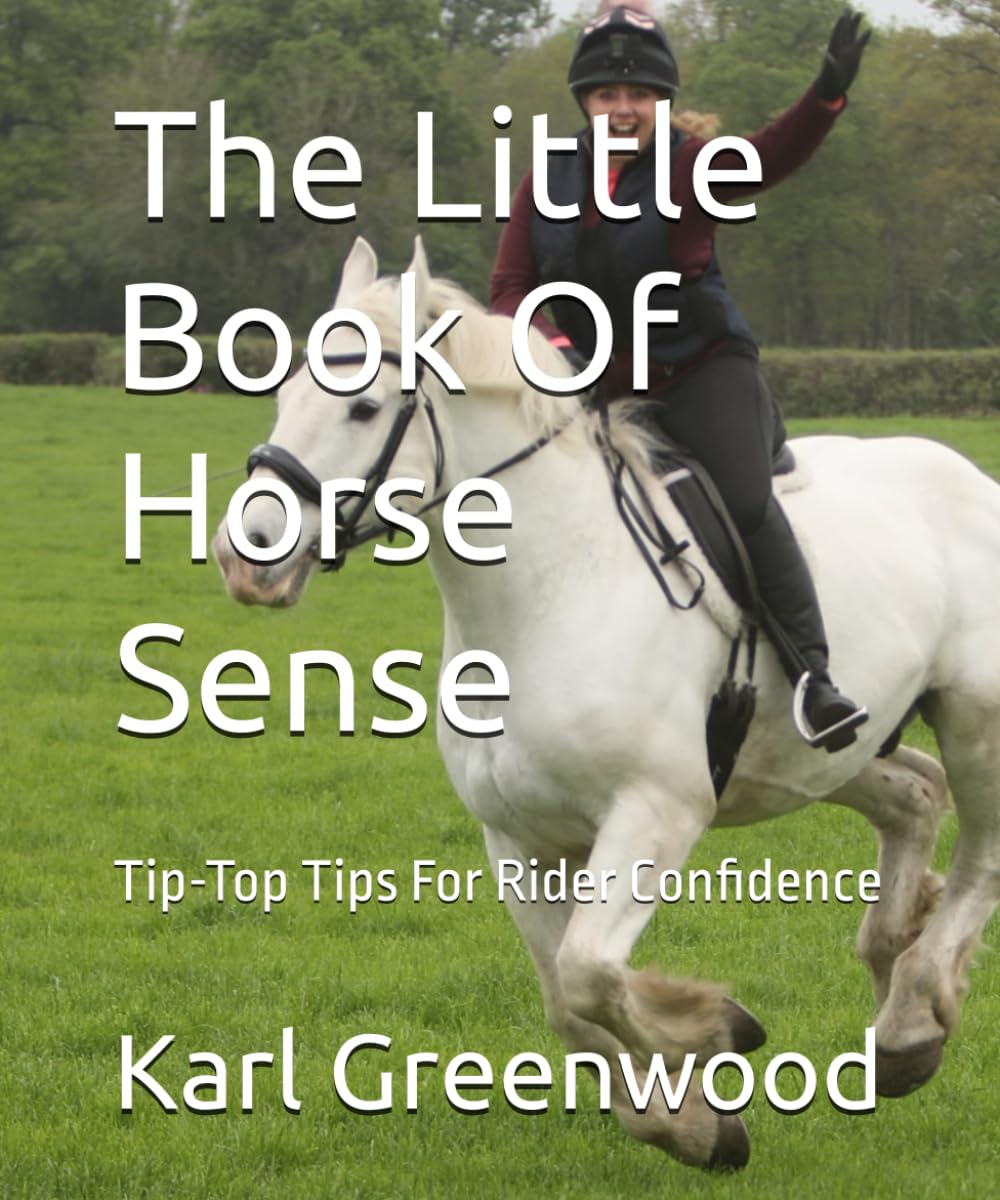 ler totalmente The Little Book Of Horse Sense: Tip-Top Tips For Rider Confidence
