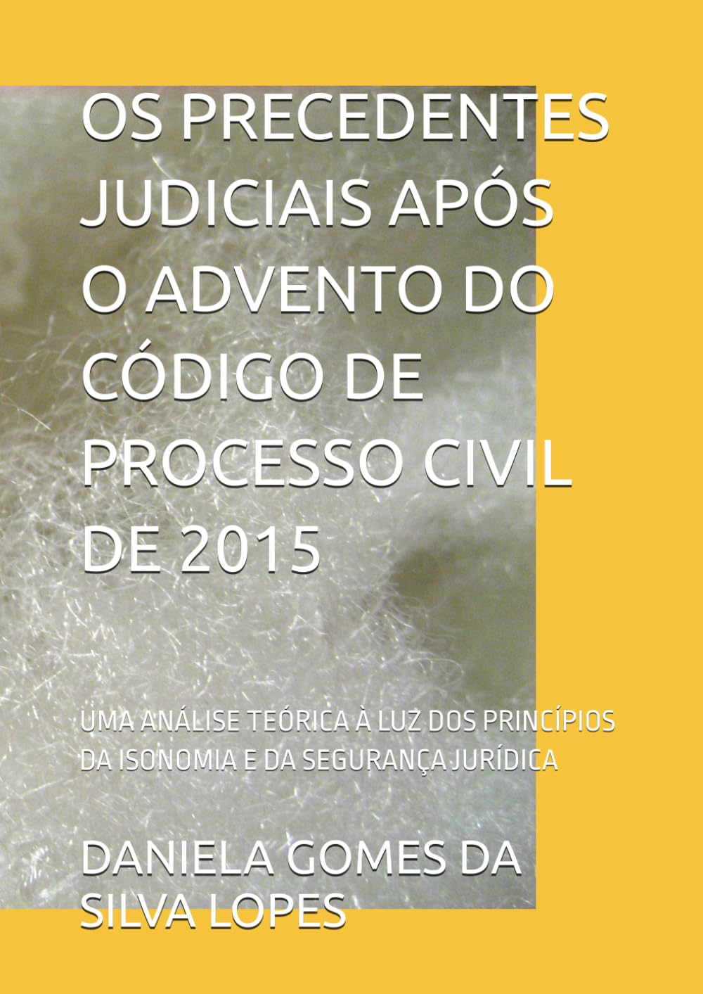 OS PRECEDENTES JUDICIAIS APÓS O ADVENTO DO CÓDIGO DE PROCESSO CIVIL DE 2015: UMA ANÁLISE TEÓRICA À LUZ DOS PRINCÍPIOS DA ISONOMIA E DA SEGURANÇA JURÍDICA (Portuguese Edition) baixar livro de graça