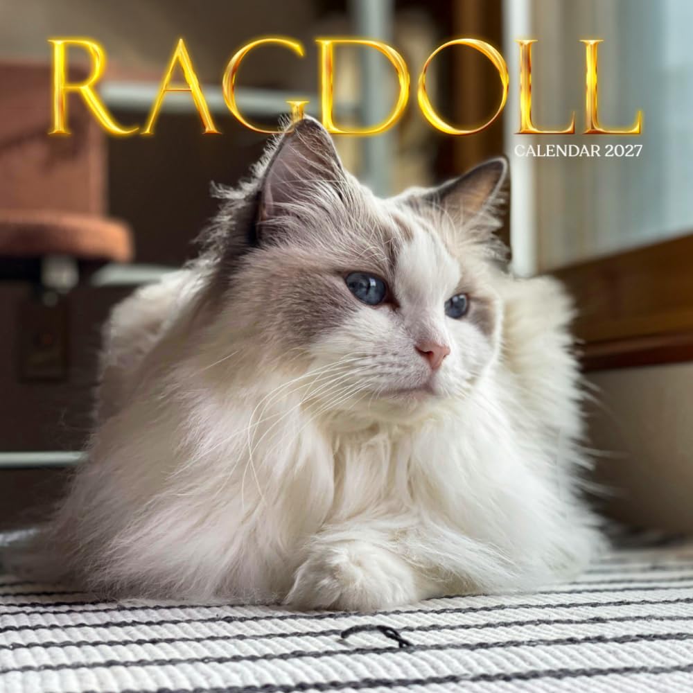 Ragdoll Cat Calendar 2027: Fluffy Cats and Indoor Portraits