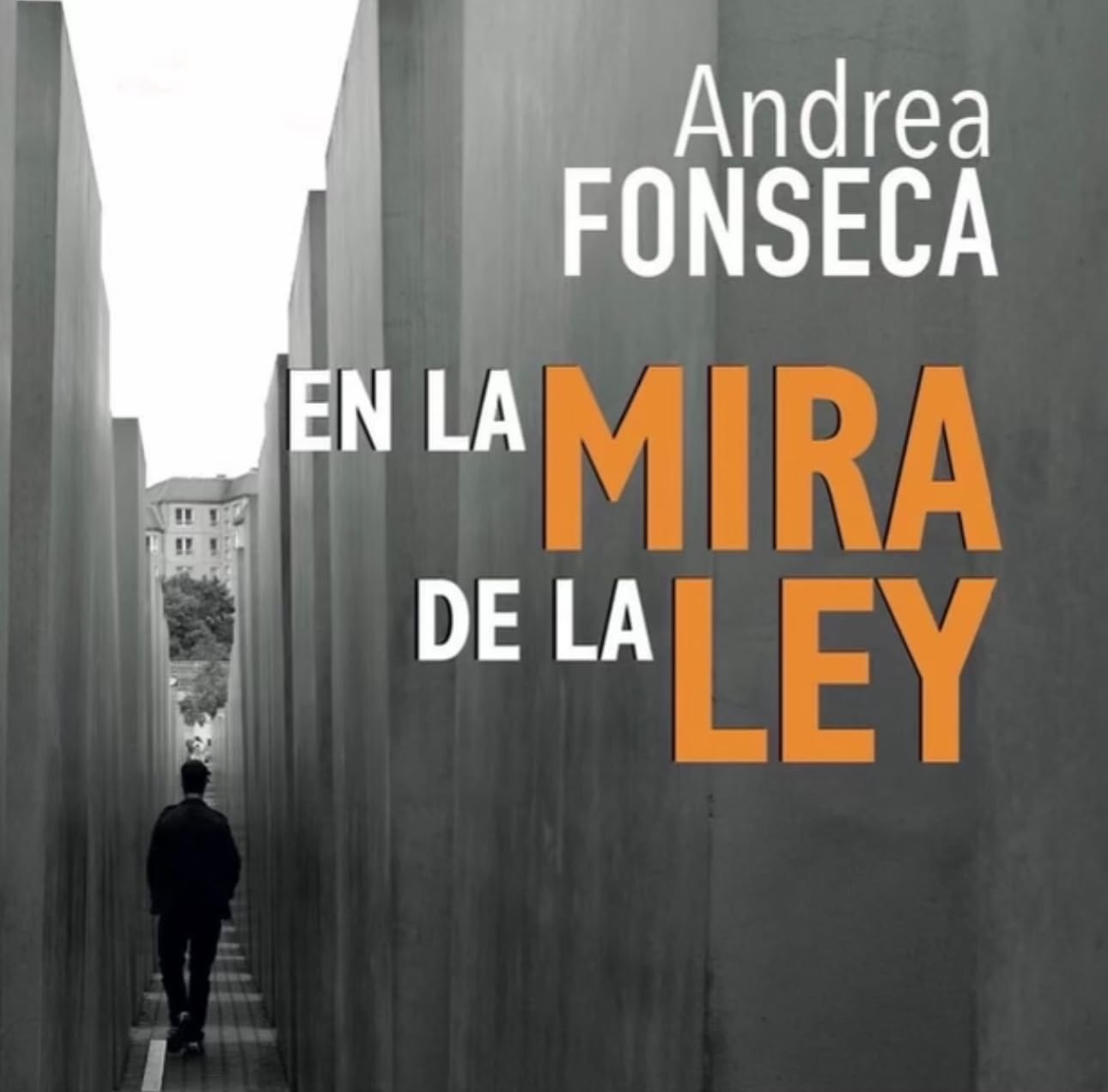 ler totalmente En la mira de la ley (Spanish Edition)