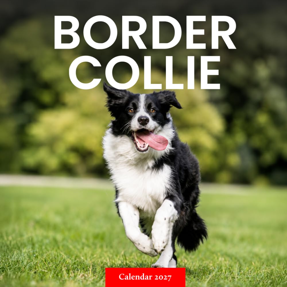 capítulo por capítulo baixar Border Collie Calendar 2027: Herding Dog Photography