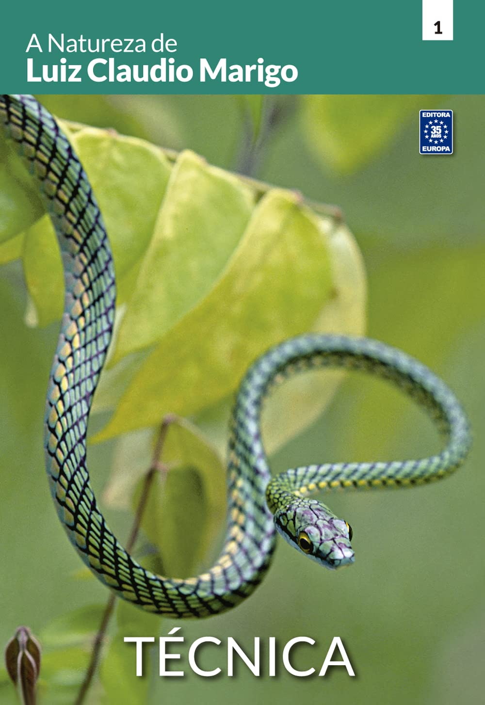 A Natureza de Luiz Claudio Marigo - Técnica baixar o livro de graça