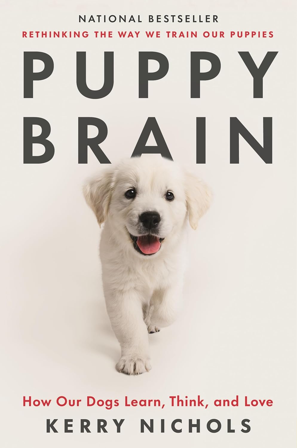 ler totalmente Puppy Brain: How Our Dogs Learn, Think, and Love (English Edition)