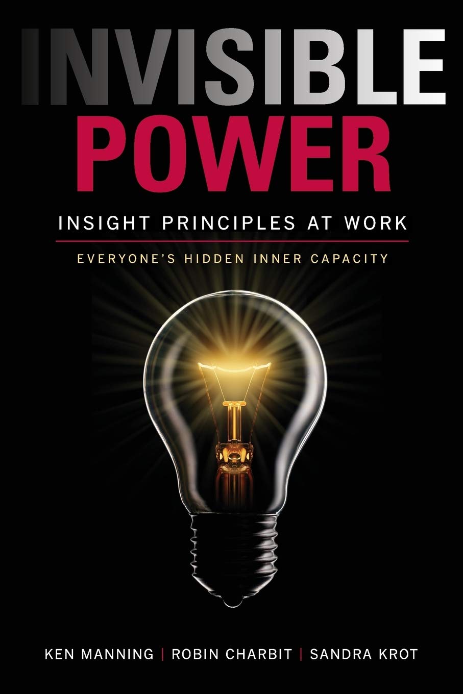 Invisible Power: Insight Principles at Work: Everyone's Hidden Capacity baixar livro de graça