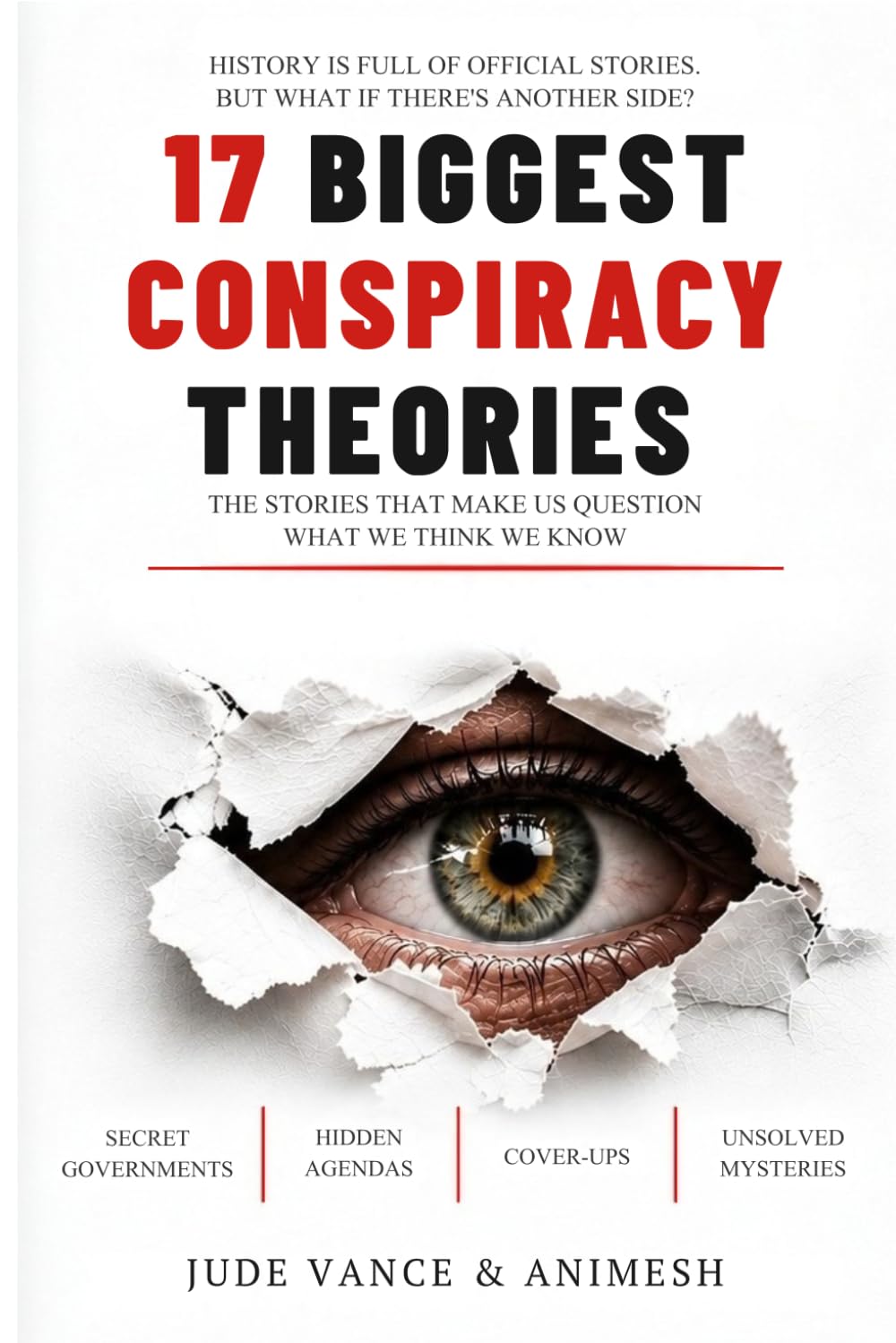 17 Biggest Conspiracy Theories: The Stories, the Evidence, and What Really Happened baixar o livro de graça