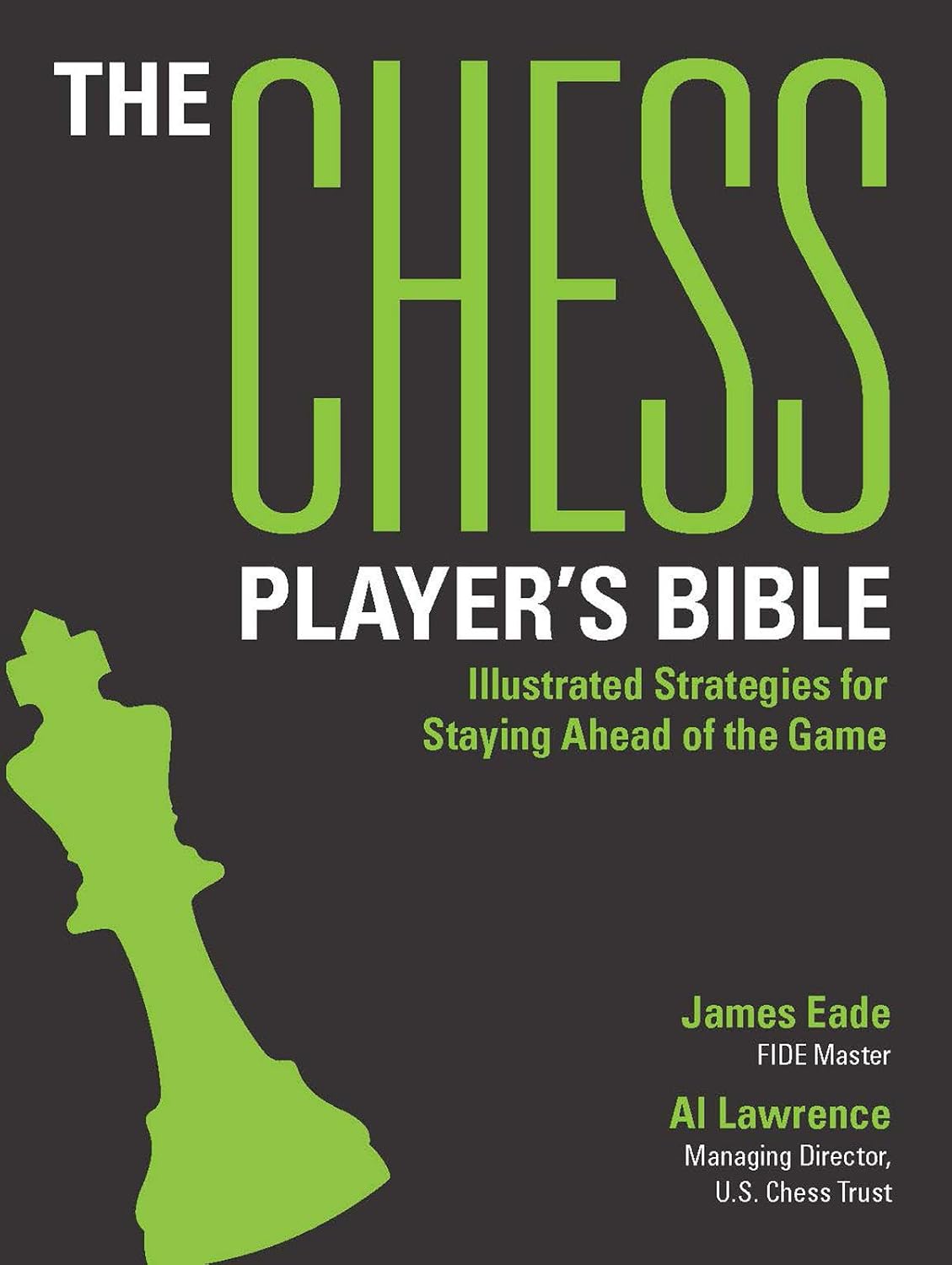 The Chess Player's Bible: Illustrated Strategies for Staying Ahead of the Game baixar livro de graça