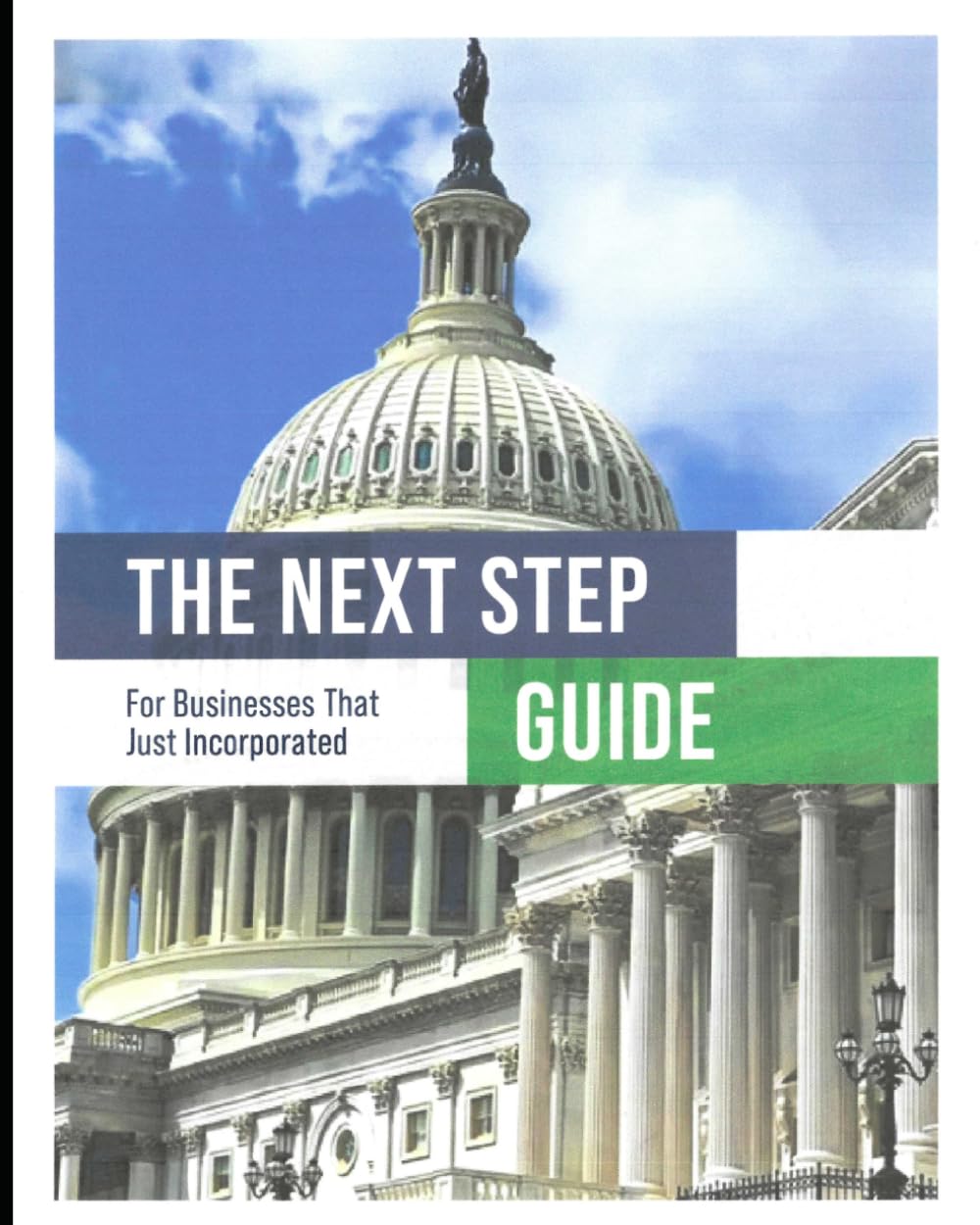 The NEXT STEP Guide For Businesses After Incorporating baixar livro de graça