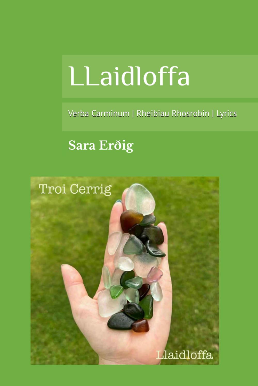 ler totalmente Llaidloffa: Verba Carminum | Rheibiau Rhosrobin | Lyrics (Welsh Edition)