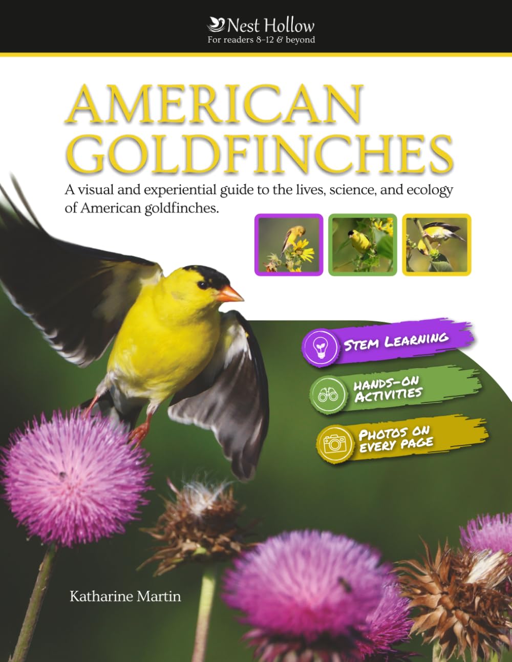 ler totalmente American Goldfinches