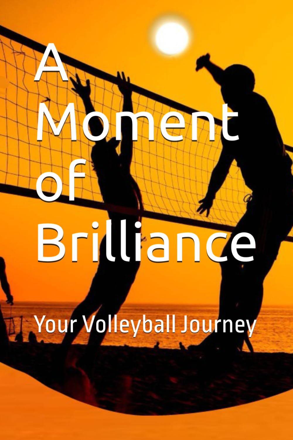 ler totalmente A Moment of Brilliance: Your Volleyball Journey
