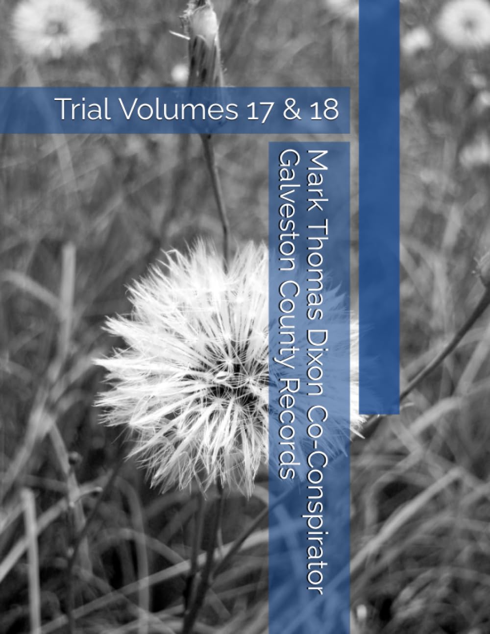 Mark Thomas Dixon Co-Conspirator Galveston County Records: Trial Volumes 17 & 18 (Barbara Holder Trial Records) baixar o livro de graça