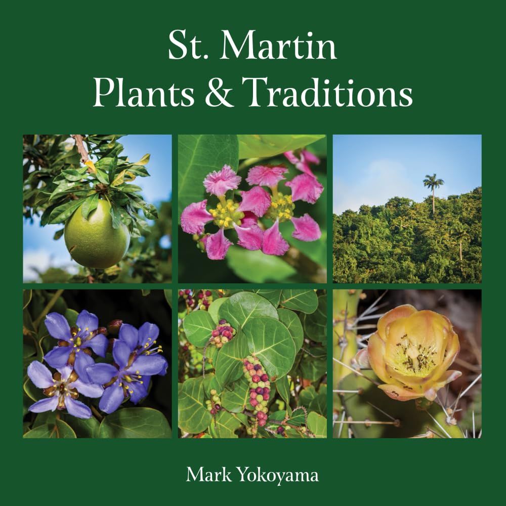 capítulo por capítulo baixar St. Martin Plants & Traditions