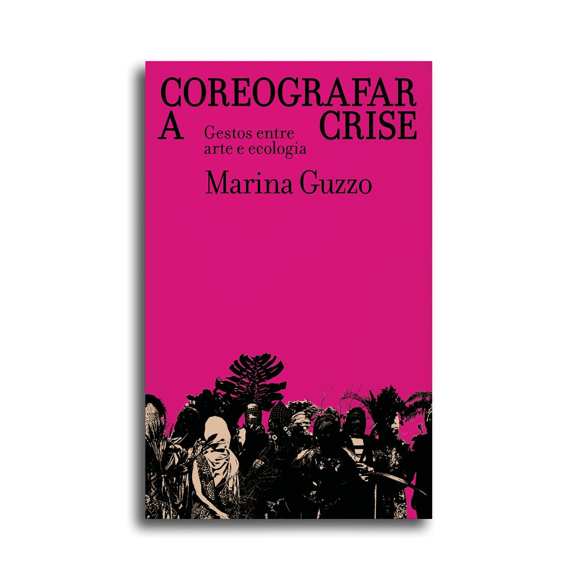 Coreografar a Crise: Gestos Entre Arte e Ecologia baixar livro de graça