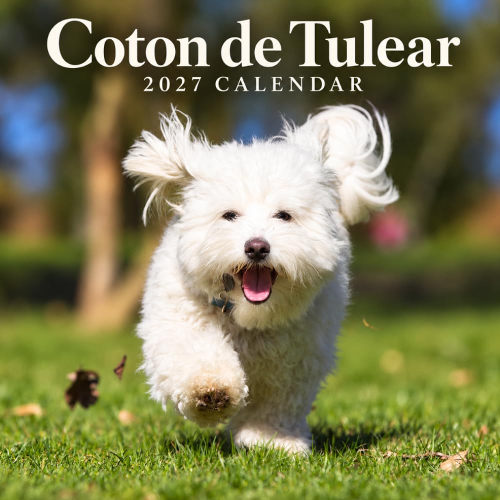 capítulo por capítulo baixar Coton de Tulear Calendar 2027: Companion Dog Photography