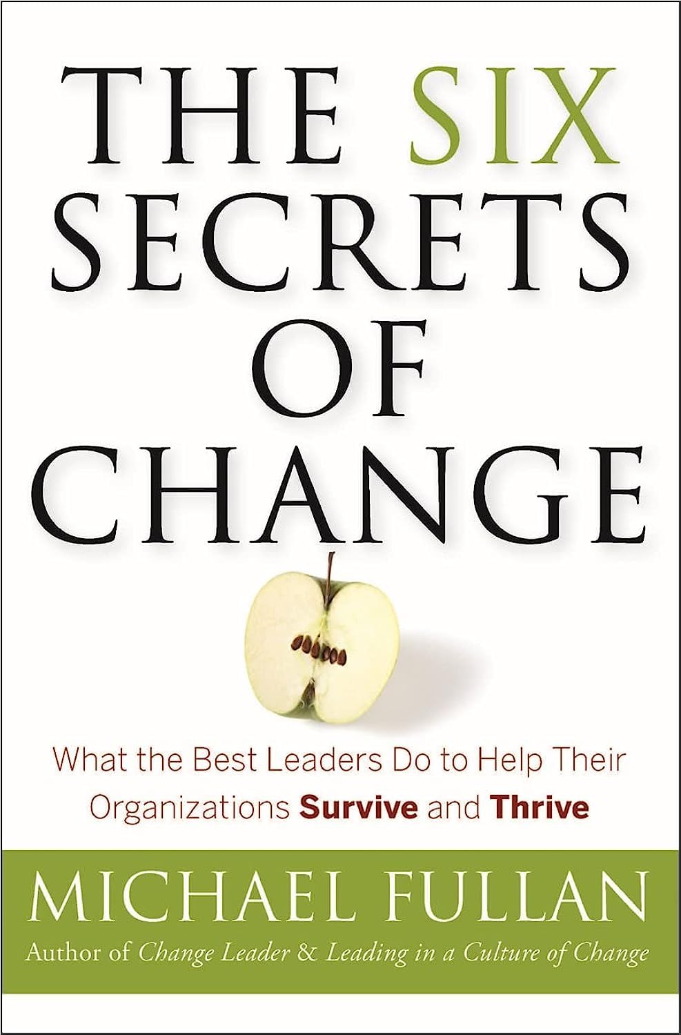 The Six Secrets of Change: What the Best Leaders Do to Help Their Organizations Survive and Thrive