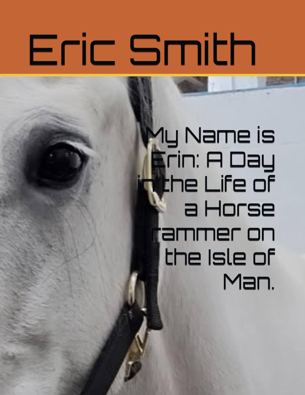 My Name is Erin: A Day in the Life of a Horse Trammer on the Isle of Man. baixar o livro de graça